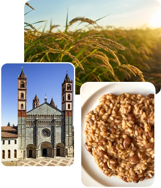 Territorio di Vercelli